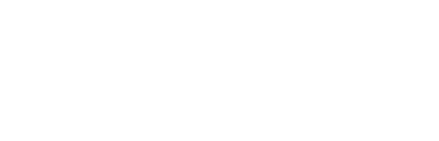 Saltpay Logo